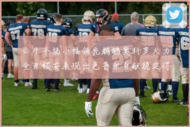 公牛半场小幅领先鹈鹕奥科罗火力全开锡安表现出色普尔贡献稳定得分