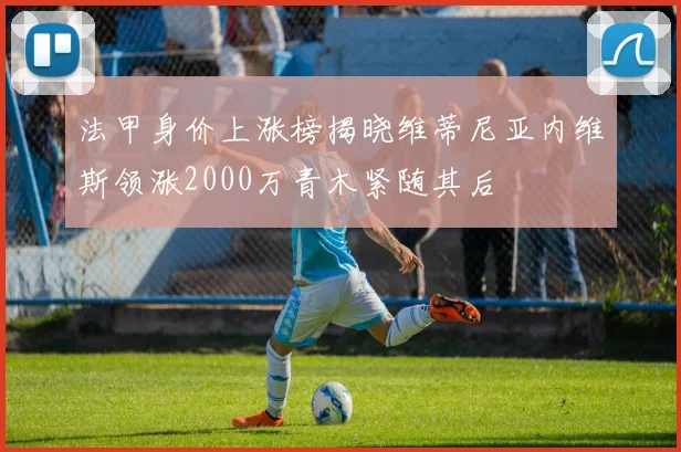 法甲身价上涨榜揭晓维蒂尼亚内维斯领涨2000万青木紧随其后