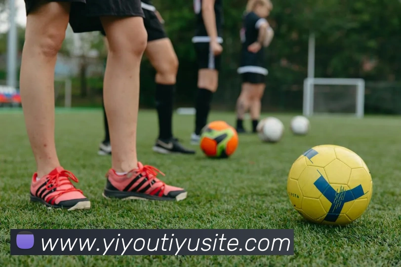 易游体育平台生态图